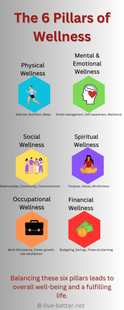 The 6 Pillars of Wellness infographic showing Physical, Mental & Emotional, Social, Spiritual, Occupational, and Financial wellness, with key focus areas for each dimension.