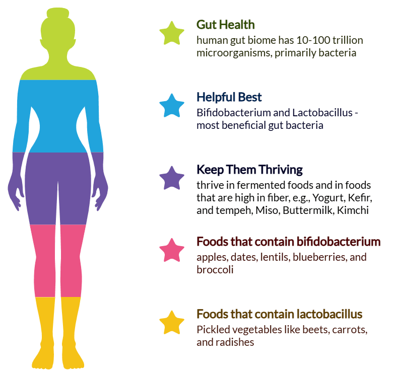 gut health - infographic - live-better-dot-net gut health