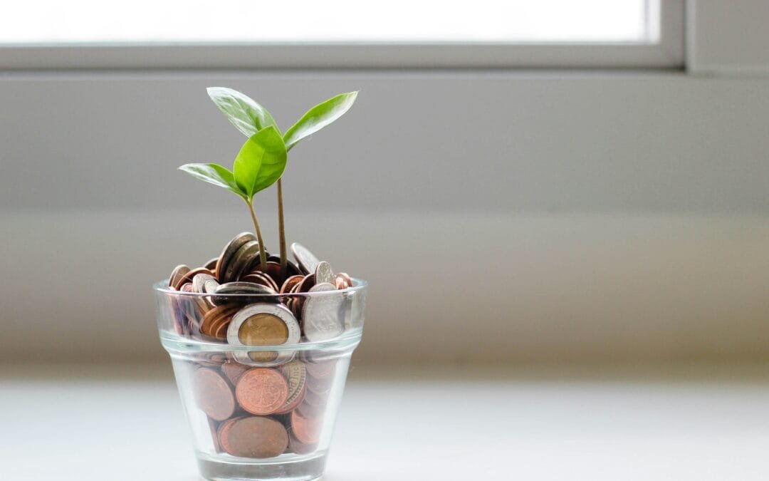Holistic Financial Wellness: A Comprehensive Guide